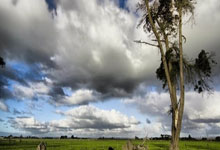 东京伴游模特预约